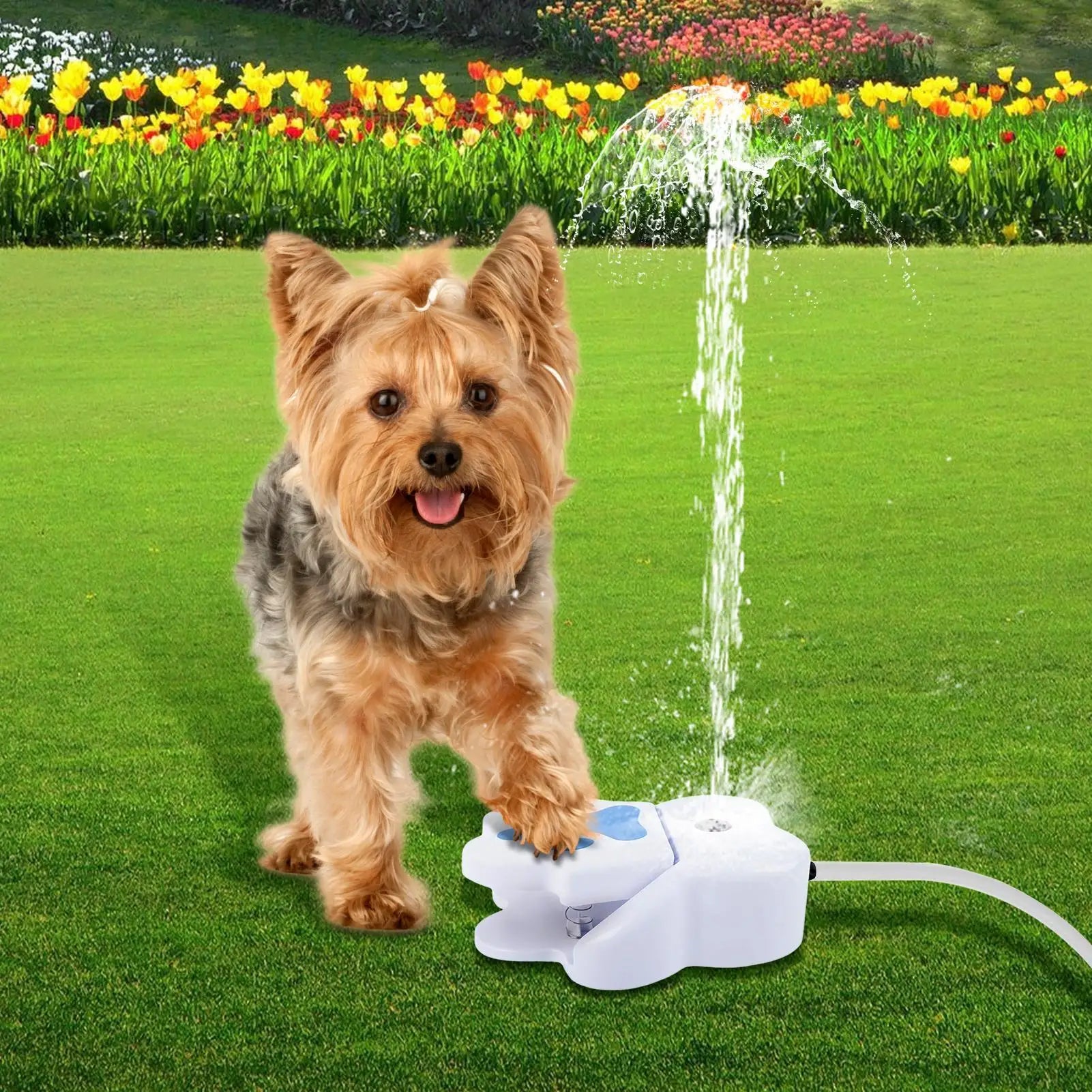 Pet Water Fountain, Paw Activated Puppy Sprinkler, Dispenser for Outdoor Garden
